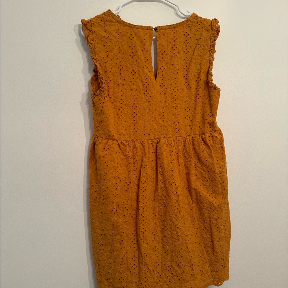 Knox Rose Yellow Ruffled Sundress with Flutter Sleeves - Picture 4 of 4